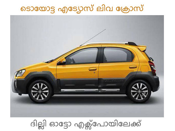 ലിവയില്‍ നിന്നുള്ള വ്യത്യാസം