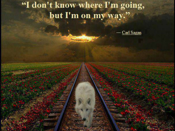 കാൾ സാഗൻ