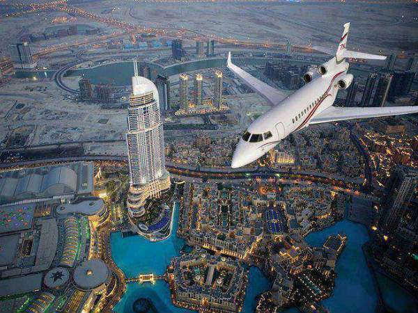 ഫോട്ടോഗ്രാഫറെ വിമാനത്തിൽ നിന്ന് പരുന്ത് റാഞ്ചിയപ്പോൾ