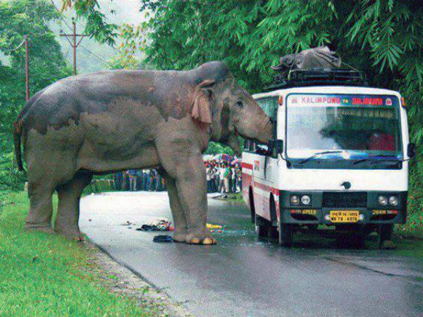 ലൈസൻസൊണ്ടോ?