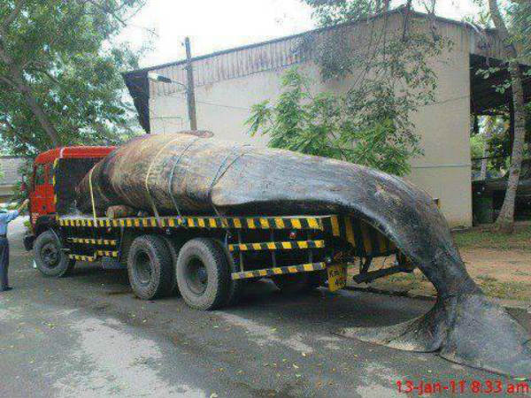 ഇന്നത്തേക്കുള്ളതായി....