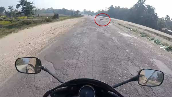 130 കിലോമീറ്റര് വേഗത്തില് ബ്രേക്ക് പിടിക്കുമ്പോള്, തലനാരിഴയ്ക്ക് രക്ഷപ്പെട്ട് ബൈക്ക് യാത്രികന്