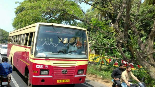 വളയിട്ട കൈകളില് വളയം ഭദ്രം; കെഎസ്ആര്ടിസി വനിതാ ഡൈവറിന് സോഷ്യല് മീഡിയയില് കൈയടി