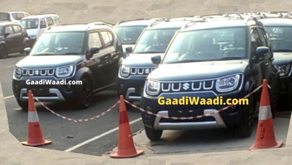മാറ്റത്തിനൊരുങ്ങി മാരുതി ഇഗ്നീസ്; സ്പൈ ചിത്രങ്ങള് പുറത്ത്