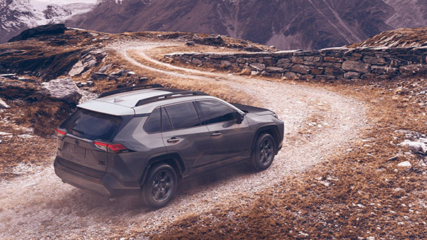 ഇനി സുസുക്കിയുടെ ഊഴം! ടൊയോട്ട RAV4 അടിസ്ഥാനമാക്കിയുള്ള സുസുക്കി എസ്യുവി ഉടൻ വിപണിയിലേക്ക്