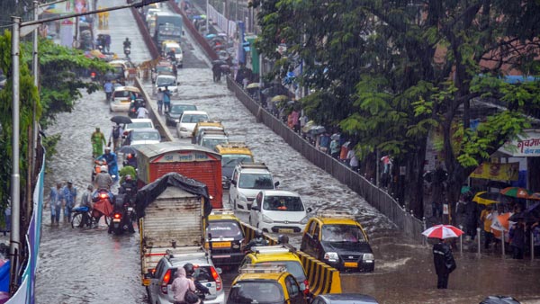 മഴയത്ത് മാൻഹോളിന് കാവൽ നിന്ന കാന്തയാണ് താരം