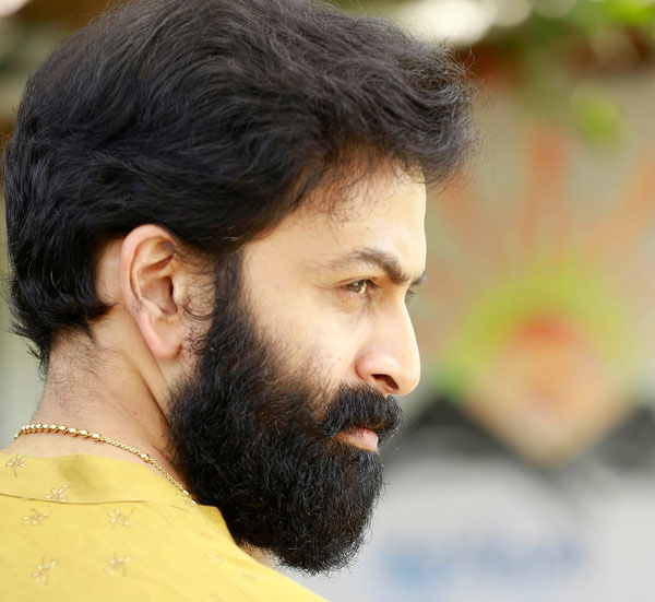ഇത് പരസ്യമല്ല; 'ഫീല് ഗുഡ്', ഥാര് ടെസ്റ്റ് ഡ്രൈവ് ചെയ്ത് പൃഥ്വിരാജ്