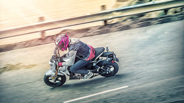 ചെറുതായൊന്ന് മിനുങ്ങി, 2021 മോഡൽ കവസാക്കി Z125 പ്രോ വിപണിയിൽ