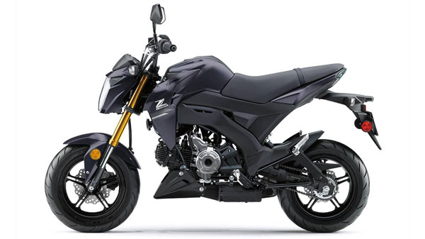 ചെറുതായൊന്ന് മിനുങ്ങി, 2021 മോഡൽ കവസാക്കി Z125 പ്രോ വിപണിയിൽ