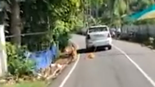 നടുറോഡിൽ നായയെ കെട്ടിവലിച്ച് ഡ്രൈവറുടെ ക്രൂരത; സ്വമേധയ കേസെടുത്ത് പൊലീസ്