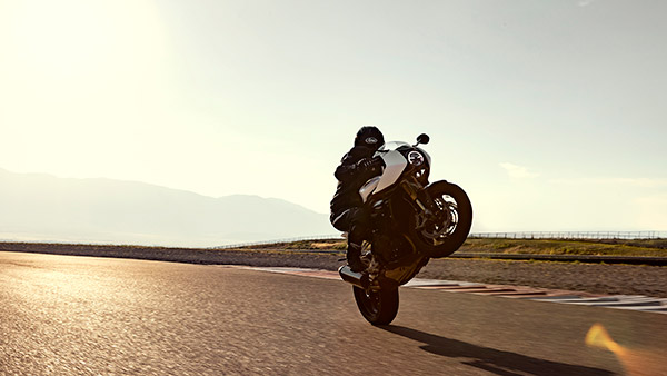 Speed Triple 1200 RR അവതരിപ്പിച്ച് Triumph; വില, സവിശേതകള് ഇങ്ങനെ