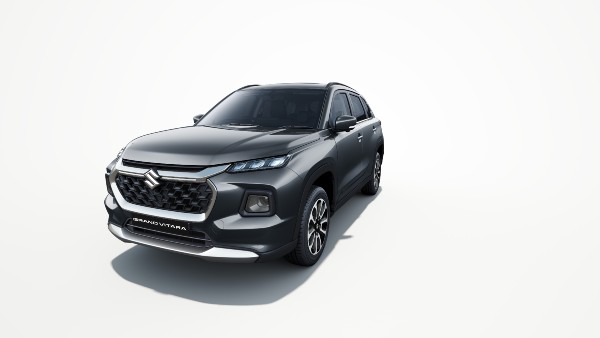 ചേട്ടൻ ബാവ-അനിയൻ ബാവ! Grand Vitara - Brezza മോഡലുകൾ തമ്മിൽ മാറ്റുരയ്ക്കാം
